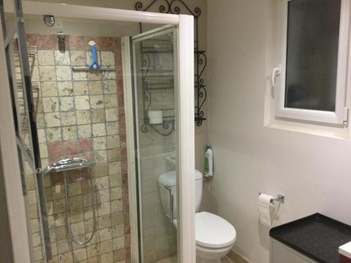 une salle de bain avec toilettes et douche en verre dans l'établissement Studio en Provence avec piscine, à Graveson