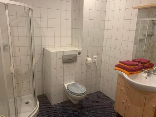 La salle de bains est pourvue d'une douche, de toilettes et d'un lavabo. dans l'établissement Pension Pöhlbergblick Annaberg, à Annaberg-Buchholz