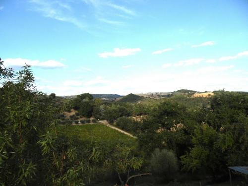 a view of a field with trees and a sky at Podere Caldaruccio La Pineta in Bosco