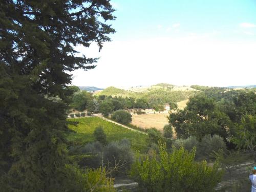 a view of a garden from a hill with trees at Podere Caldaruccio La Pineta in Bosco