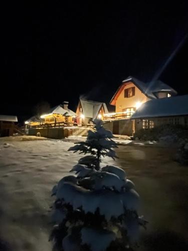 a snow covered tree in a yard at night at Planinska kuca Popovic 3 in Ljuboš
