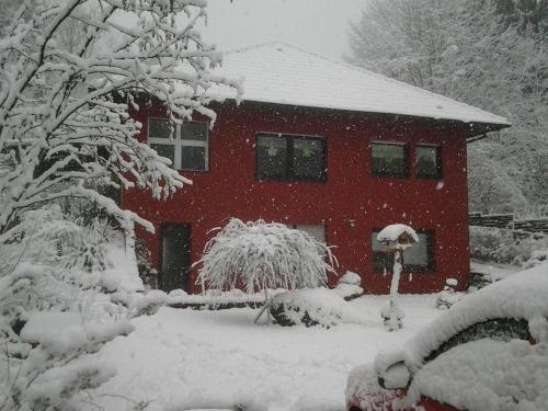 Galeriebild der Unterkunft Haus Saufelsen in Ludwigswinkel