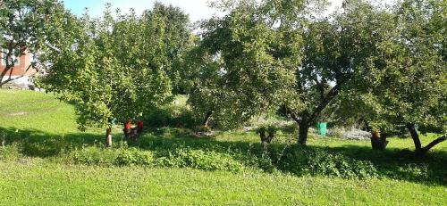 Κήπος έξω από το Agroturystyka Nad Czarnym