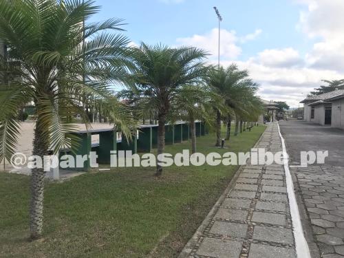 a row of palm trees on the side of a street at Apto Cond Ilhas do Caribe - Pr - Beira Mar in Matinhos
