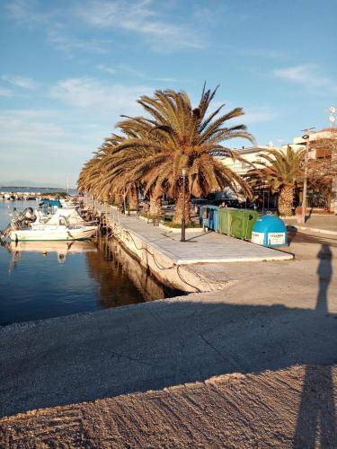 Φυσικό τοπίο κοντά σε αυτό το διαμέρισμα