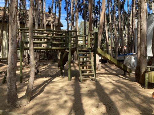 a wooden bridge in the middle of some trees at Depto en Costa Algarrobo Norte con wifi in Algarrobo