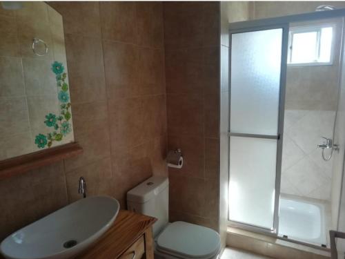 een badkamer met een wastafel, een toilet en een douche bij Nijulu in Malargüe