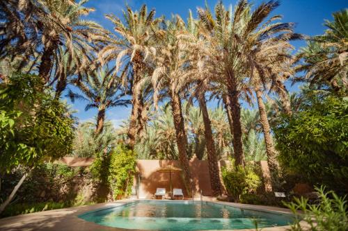 een zwembad in een tuin met palmbomen bij Guest house in oasis amazrou Zagora south est Maro in Zagora