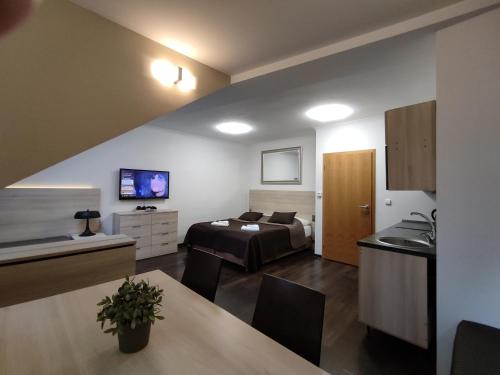TV a/nebo společenská místnost v ubytování Horský Apartmán 303 v Anenském údolí s neomezeným saunovým wellness, s O2 TV a stabilní rychlou WIFI