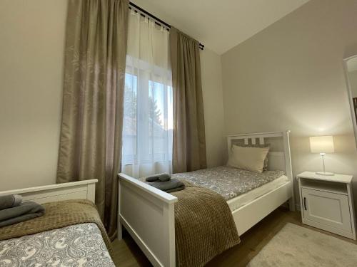 a bedroom with two beds and a window at Apartments TEMA in Sombor