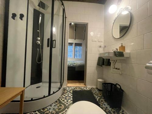 een badkamer met een douche en een wastafel bij Natuurhuisje - Gastenverblijf De Kleine Hazerij in Wijhe