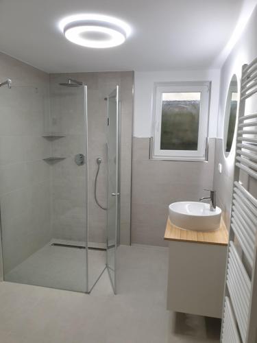 een badkamer met een glazen douche en een wastafel bij Schöne Wohnung über Wissen in Wissen
