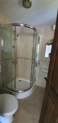 a bathroom with a shower and a toilet and a sink at Guest House Ela in Dolna Banya