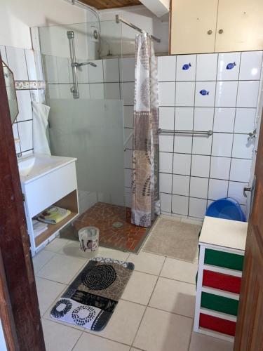 a small bathroom with a shower and a sink at Chez Marie André et Jeanne in Grande Anse