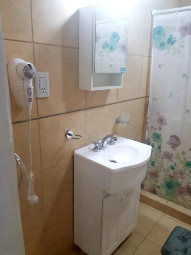 a bathroom with a sink and a shower at Raíces Federaenses Monoambientes in Federación