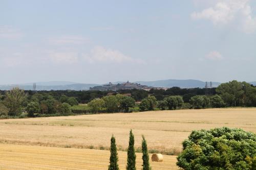 a large field of hay with trees in the foreground at Agriturismo Verbena in Castiglione del Lago