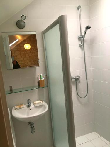 une salle de bain avec un lavabo et une douche avec un miroir dans l'établissement Chambre d'hôtes, les Sentiers de l'Awen, à Louerre