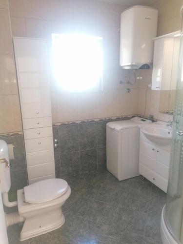 a bathroom with a toilet and a sink at Divine view in Donji Seget