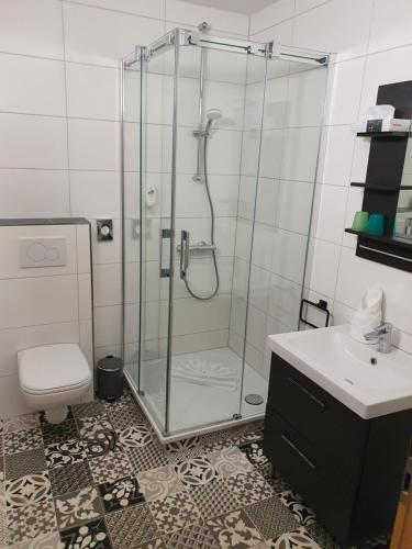 ein Bad mit einer Dusche, einem WC und einem Waschbecken in der Unterkunft Land-gut-Hotel Waldesruh in Altenmedingen
