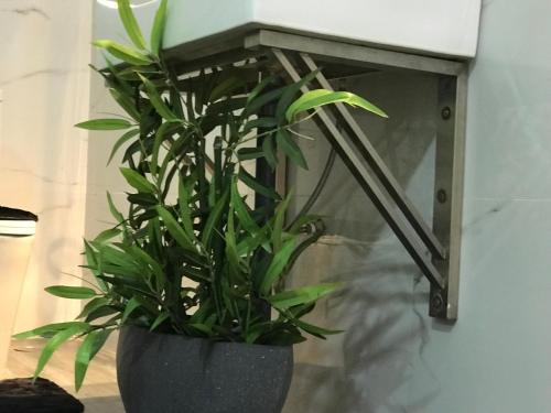 a plant in a vase sitting next to a mirror at Cinnamon Airport Residencies in Katunayaka
