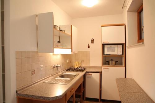 eine kleine Küche mit Spüle und Kühlschrank in der Unterkunft Ubytování na Hluboké in Hluboká nad Vltavou