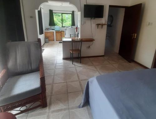 Il comprend une chambre avec un lit et une chaise ainsi qu'une cuisine. dans l'établissement Mountain Apartments x4, à Anse Etoile