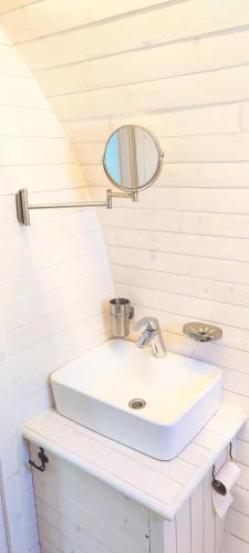 a bathroom with a white sink and a mirror at Namaste къща в село Камилски дол in Kamilski Dol