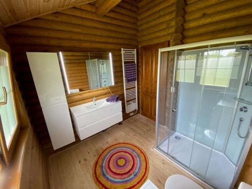 La salle de bains est pourvue d'une douche, d'un lavabo et d'un miroir. dans l'établissement Bij de Appelhof, à Valkenswaard