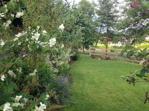 a garden with white flowers and a fence at Le moulin de l Epine in Taintrux