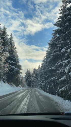 a view of a snow covered road with trees at Le moulin de l Epine in Taintrux