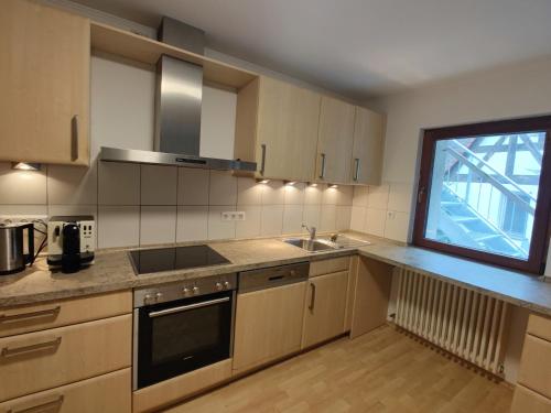 uma cozinha com um lavatório e um fogão forno superior em VIA MALA Apartment em Kirchensittenbach