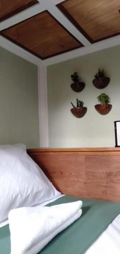 a bedroom with a bed with four plants on the wall at Banamboo in Badian
