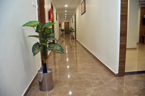 a potted plant in a hallway in a building at Hotel Newyork Inn in Anand