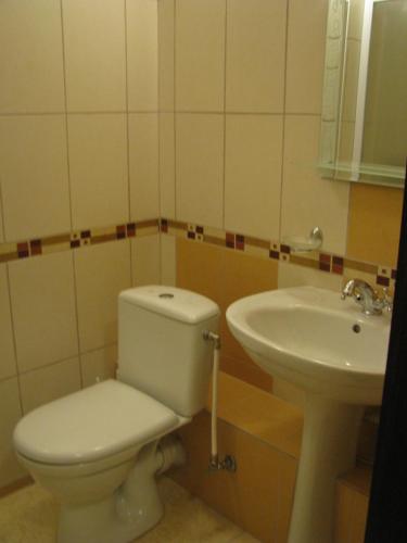 a bathroom with a toilet and a sink at Hotel Grant in Kharkiv