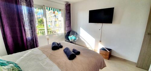One Palm View 2-BDR - A step from the ocean!