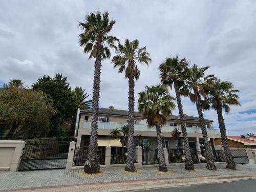 a group of palm trees in front of a building at Palm Zicht in Cape Town