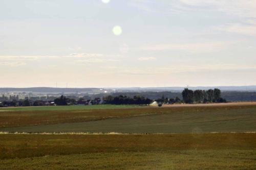 a green field with trees in the distance at Ferienwohnung Steigerwaldblick in Dingolshausen