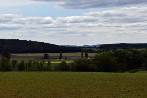 a green field with trees in the distance at Ferienwohnung Steigerwaldblick in Dingolshausen
