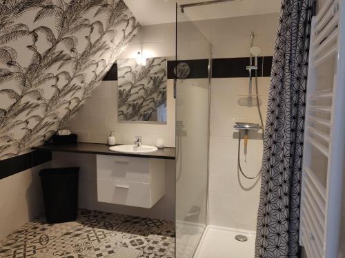 ein Bad mit einer Dusche und einem Waschbecken in der Unterkunft Gîte ELYACO - Appartement complet avec 2 chambres in Ancourt