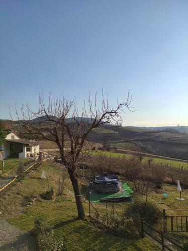 a tree in the middle of a field at B&B Anyme in Ponte Nizza