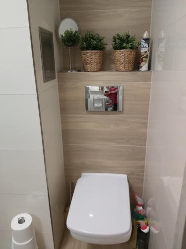 格但斯克的住宿－Apartament IZBA - mieszkanie na doby GDAŃSK，浴室设有白色卫生间和一些植物