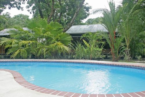 a swimming pool in front of a house with palm trees at Hotel Luz de Luna in Santa Teresa Beach