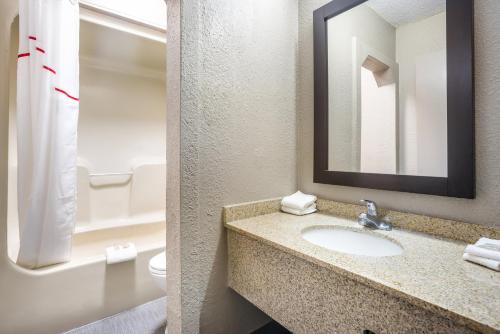 a bathroom with a sink and a mirror at Red Roof Inn Detroit - Farmington Hills in Farmington Hills