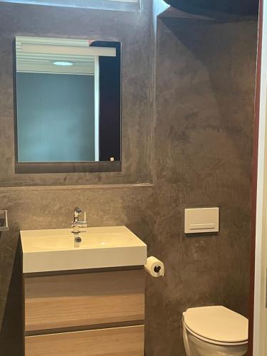 een badkamer met een wastafel, een toilet en een spiegel bij Tiny-House van zeecontainers bij het bos in Oranjewoud