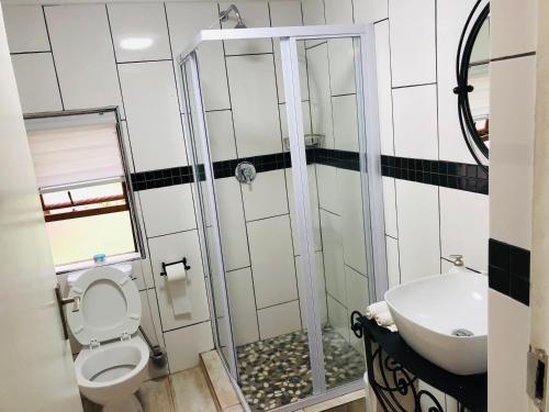 a bathroom with a shower and a toilet and a sink at FM GUEST LODGE Comfort, Tranquility & Peace of Mind in Johannesburg