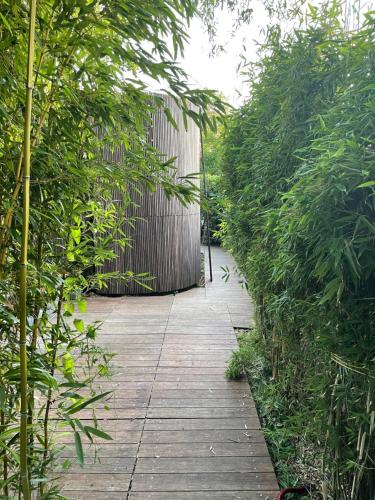 a walkway through a garden with trees and a fence at Tiny-House van zeecontainers bij het bos in Oranjewoud