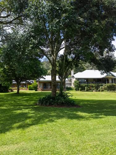 a tree in the middle of a green field at Avoca Vale Country Hotel in Louis Trichardt