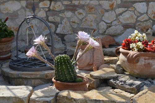 Taman di luar B&B La Casa Fra Gli Olivi