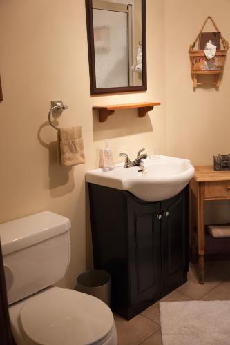 a bathroom with a sink and a toilet and a mirror at Bed and Breakfast Du Repos in Saint Quentin