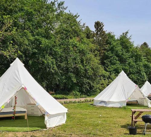 4 Meter Bell Tent - Up to 4 Persons Glamping 22